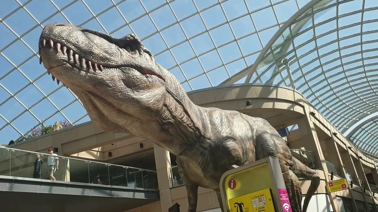 Lets go Dinosaurs hunting in Leeds