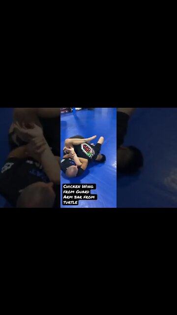 Chicken Wing from Arm Bar - Submission Transition