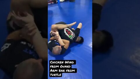 Chicken Wing from Arm Bar - Submission Transition