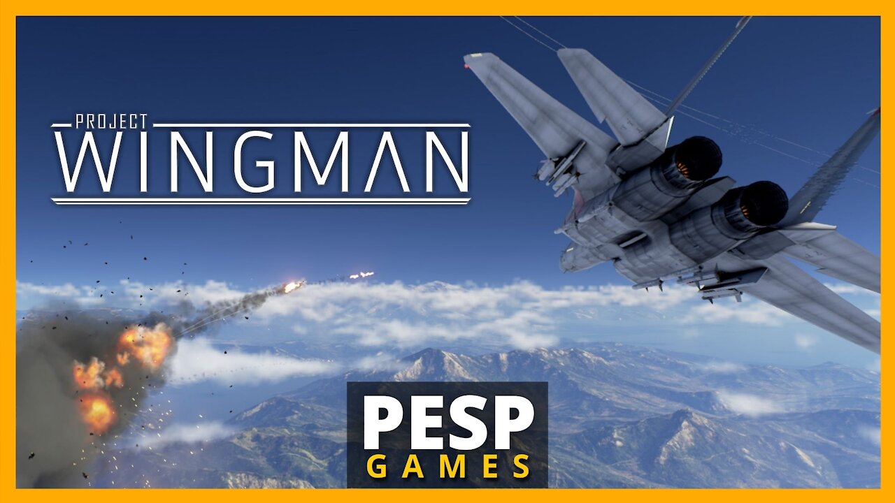 Project Wingman - Gameplay #1