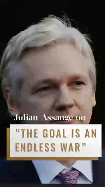 The goal is an endless war , Julian Assange