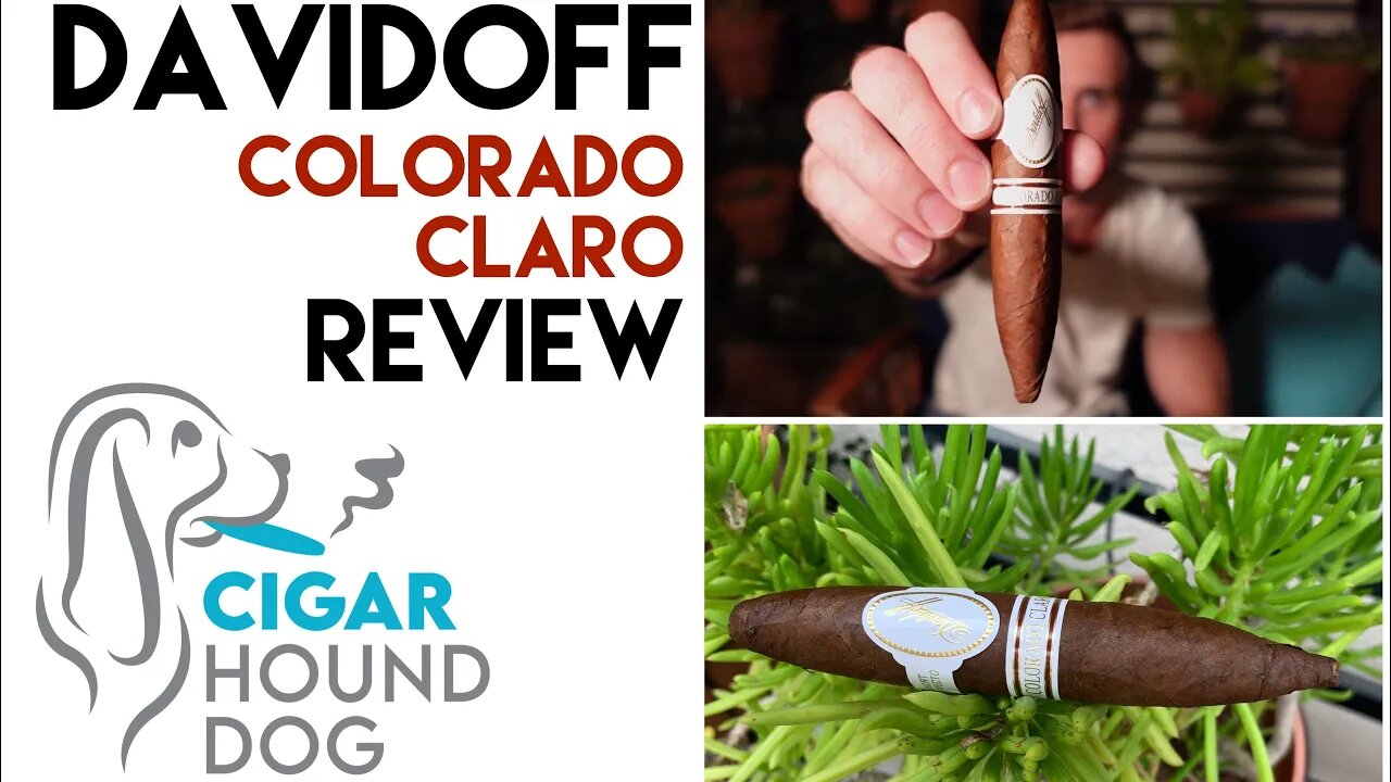 Davidoff Colorado Claro Cigar Review