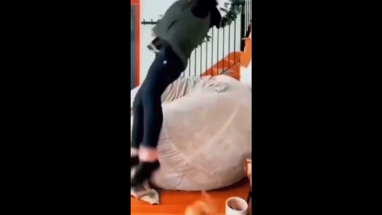 Just a funny animals🤣