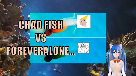 Global warming is turning fish into incels!
