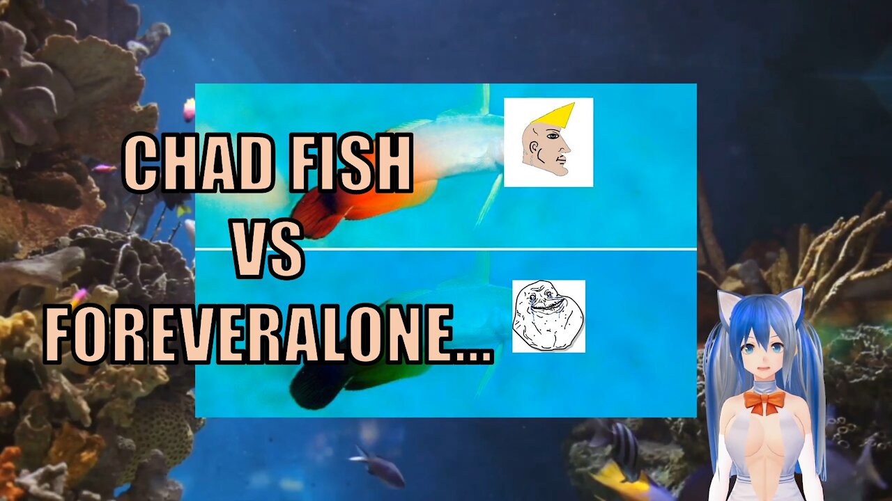 Global warming is turning fish into incels!