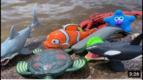 Sea__Animal__beautiful__Toys