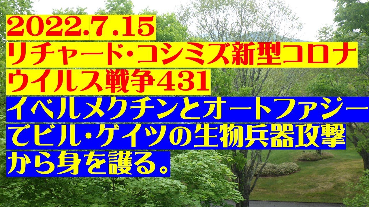 2022.07.15 リチャード・コシミズ新型コロナウイルス戦争431
