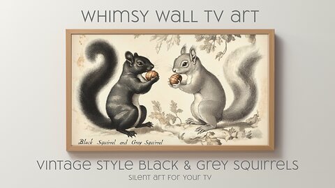 Vintage Black and Grey Squirrels: Silent Art For Your TV | Frame TV | CanvasTV | Free TV Art | 4K