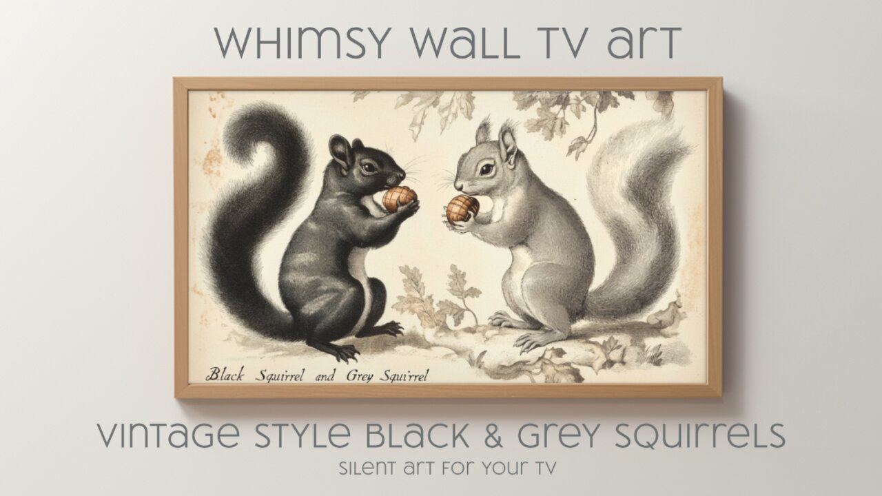 Vintage Black and Grey Squirrels: Silent Art For Your TV | Frame TV | CanvasTV | Free TV Art | 4K