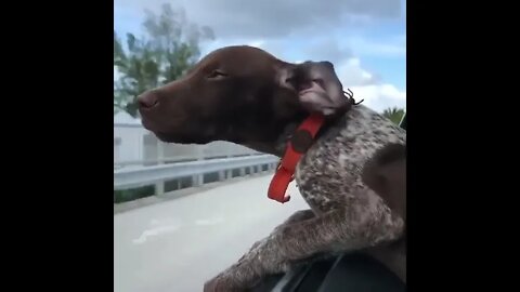 Enjoying the sunshine in Palm Beach ! Looking for President Trump because I know how to shake hands