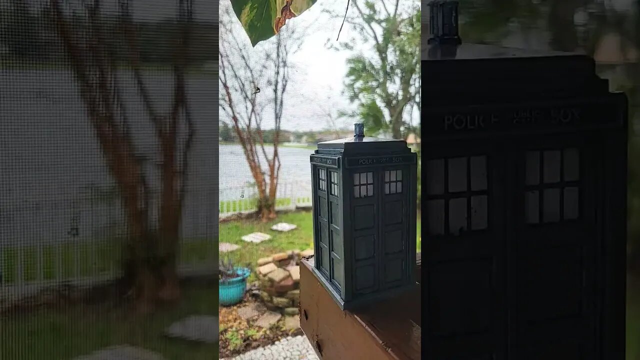 🌀#TARDIS VS #HURRICANENICOLE 🌀 #HURRICANE #TROPICALSTORM HIGH #WINDS #FLOODING #SUBSCRIBE #SHORTS