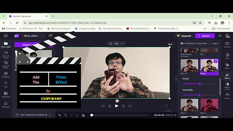 Add The Filmic Effect In Clipchamp