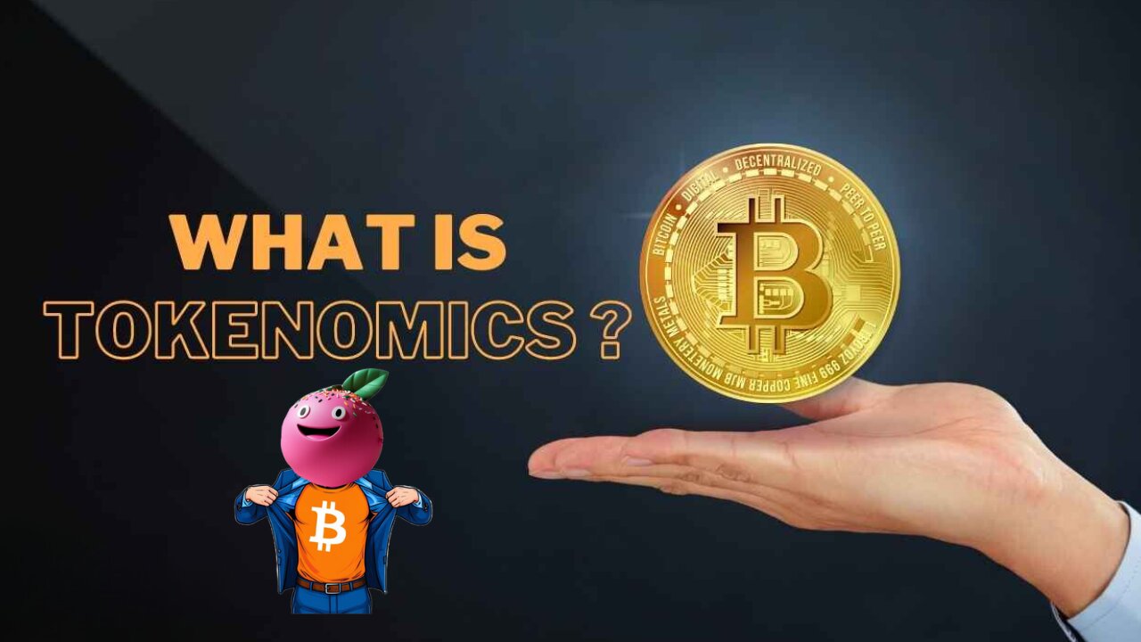Crypto Tokenomics 101: Decoding Project Success | Mochi Academy