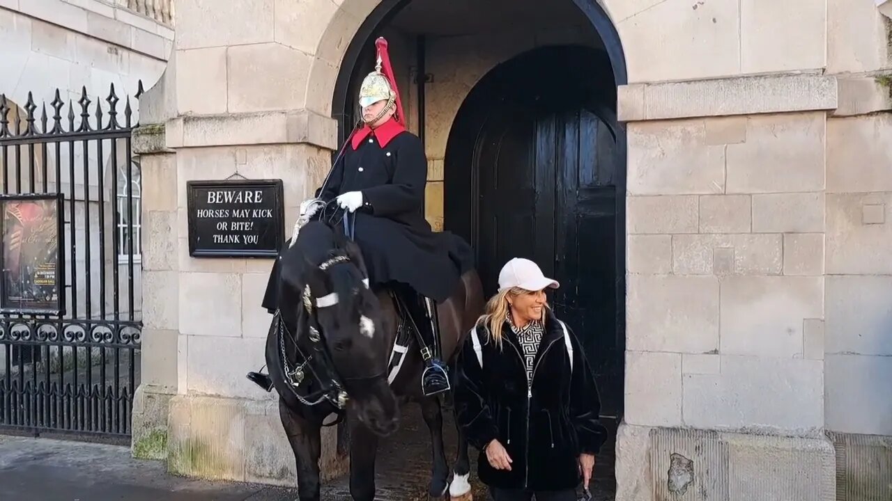 The Horse tries to bite and unzip jacket #horseguardsparade