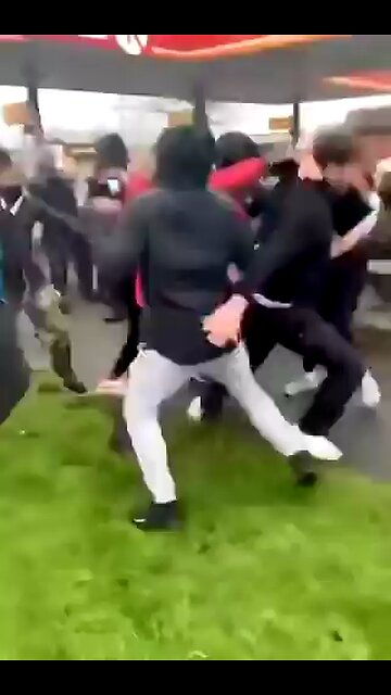 Irish Mother and Son Attacked by African Gang