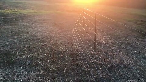 Garden bed structure ideas to get started