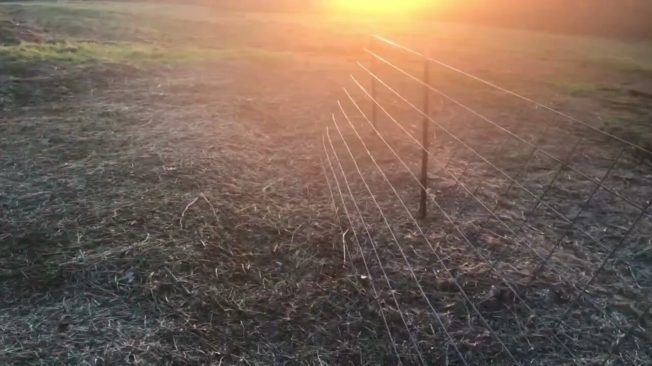 Garden bed structure ideas to get started