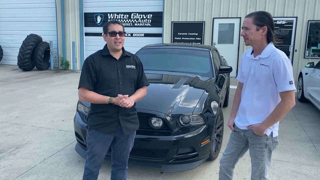 Tulsa Auto Wraps | White Glove Auto | Black Mustang