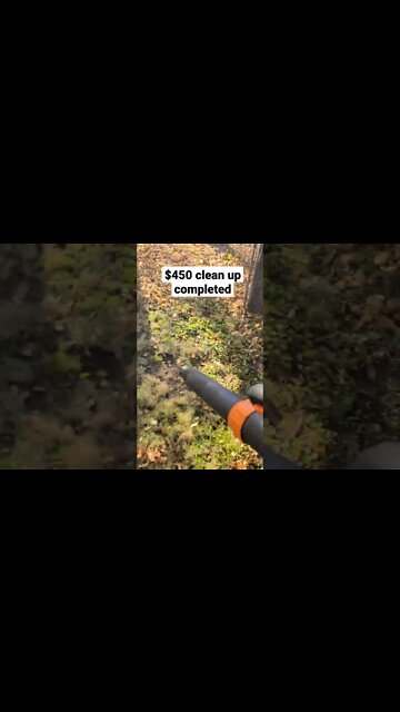 How to make $450 in 3 hrs (Fall Clean up)