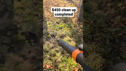 How to make $450 in 3 hrs (Fall Clean up)