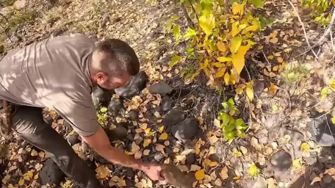Survival ! Camping ! with ! 4 ! yr ! Old ! Trapping, Knapping, Friction Fire & Campfire Cooking