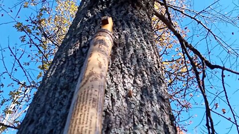 Psalm 119 Wood Burned on a 9 1/2 ft Tall Staff