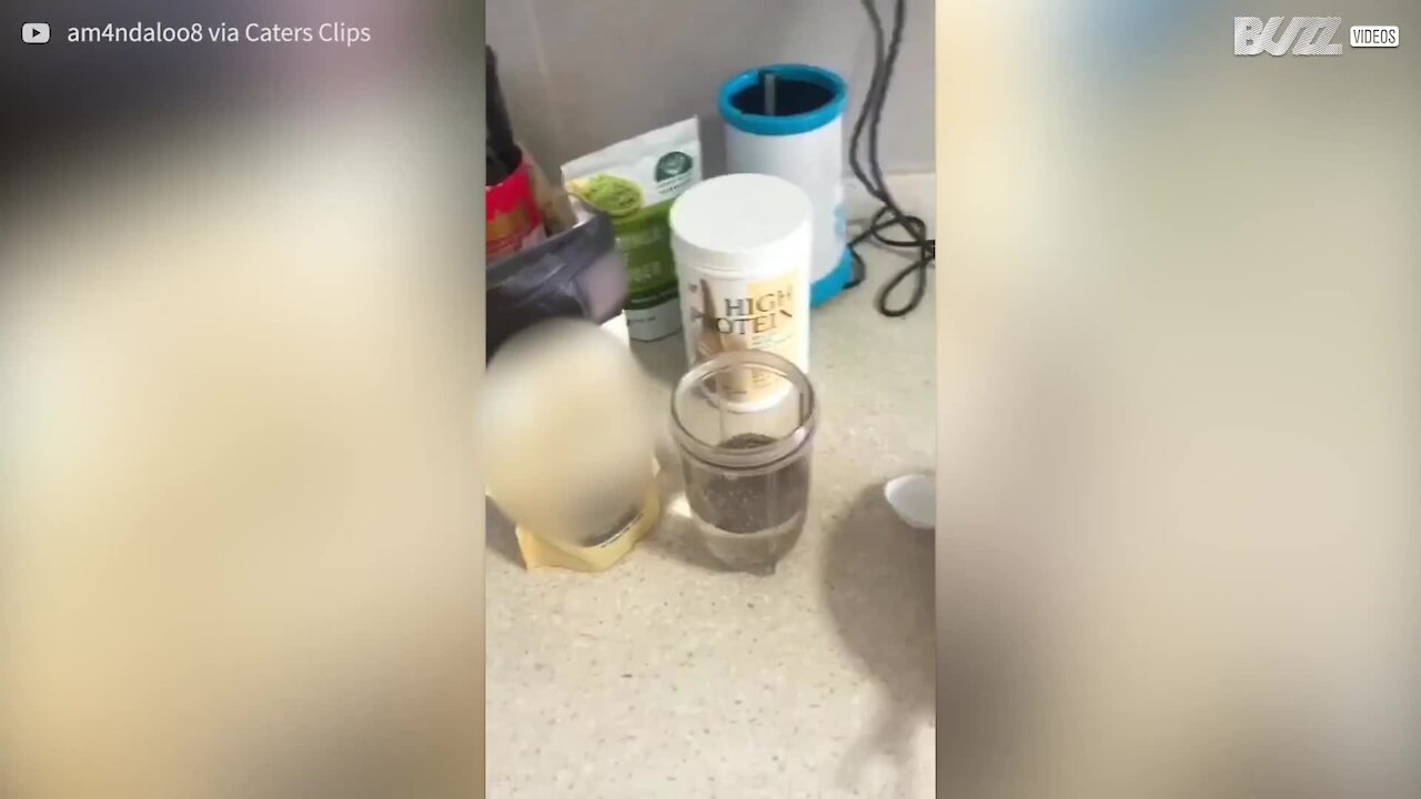 Mulher encontra centenas de insetos no café da manhã