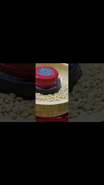 How To Adjust The Nutrimill Harvest Flour Grain Mill #short