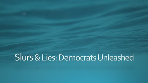 Slurs & Lies: Democrats Unleased