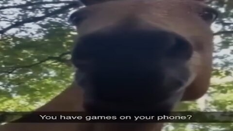 You have games on your phone?