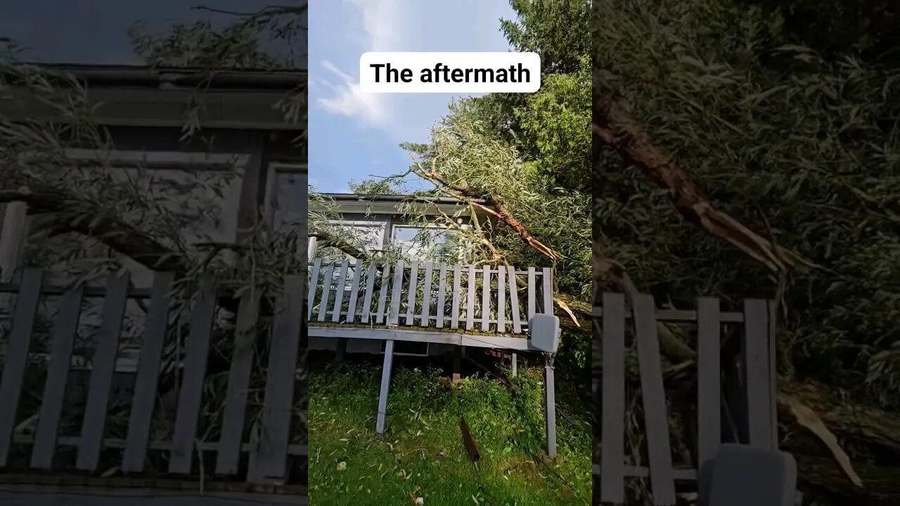 A tornado hit my neighborhood last night. #tornado #storm #foryou #foryoupage