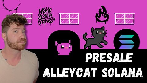 AlleyCat Solana 100X Meme+Utility