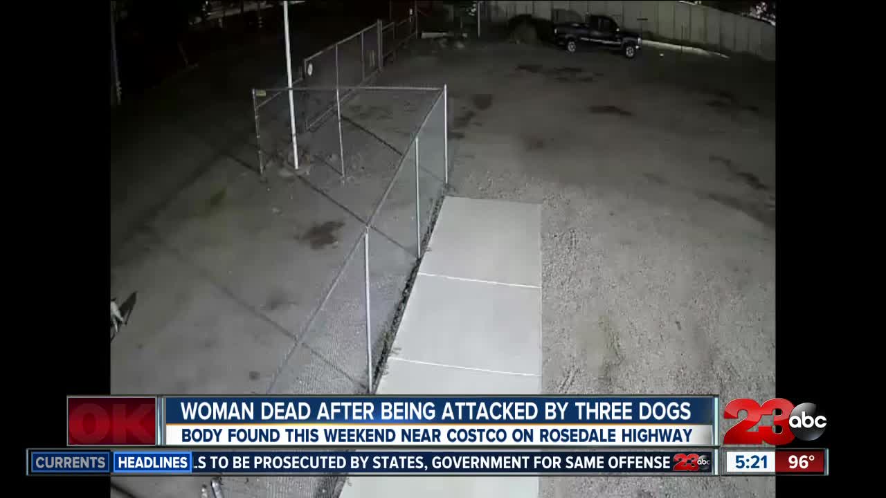 Three dogs fatally attack woman