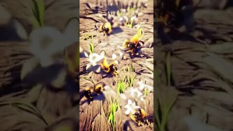 the bees - artwork - #shorts