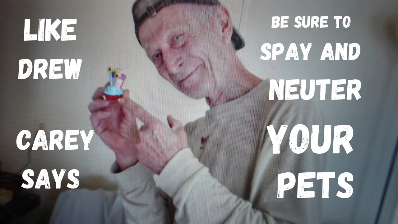 You Don't Know SpungeBob or. Here's The Deal!