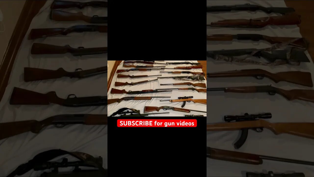 This collection is insane! How many do you see? - comment below #shotgun #rifle