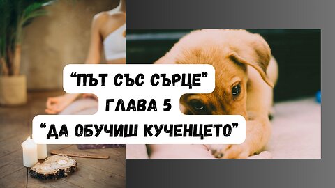 "ДА ОБУЧИШ КУЧЕНЦЕТО: БЕЗМЕТЕЖНО ОСЪЗНАВАНЕ НА ДИШАНЕТО" - глава 5 от "ПЪТ СЪС СЪРЦЕ" на Джек Корнфийлд / АУДИОКНИГА