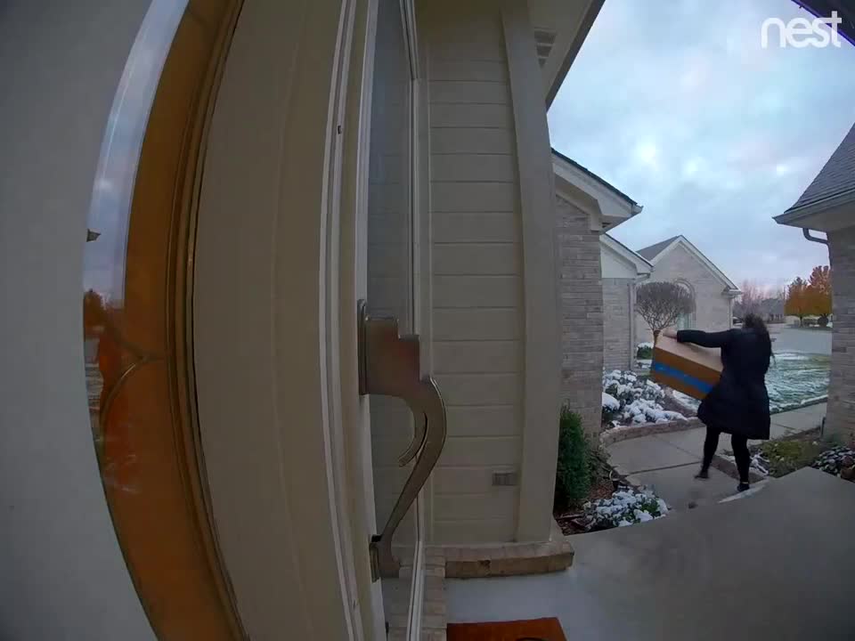 Woman wanted for stealing package off porch in Sterling Heights neighborhood