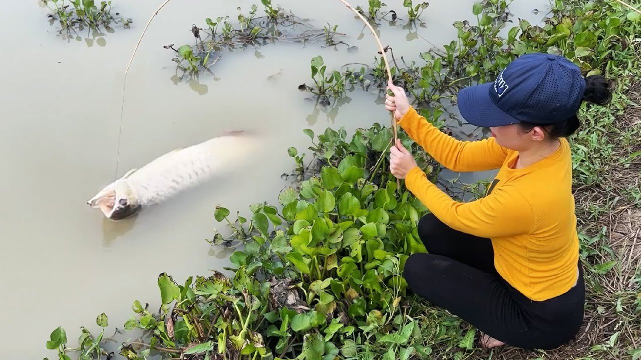 MOST DANGEROUS FISH TRAP WITH GEODUCK FOR SURVIVAL SKILLS!