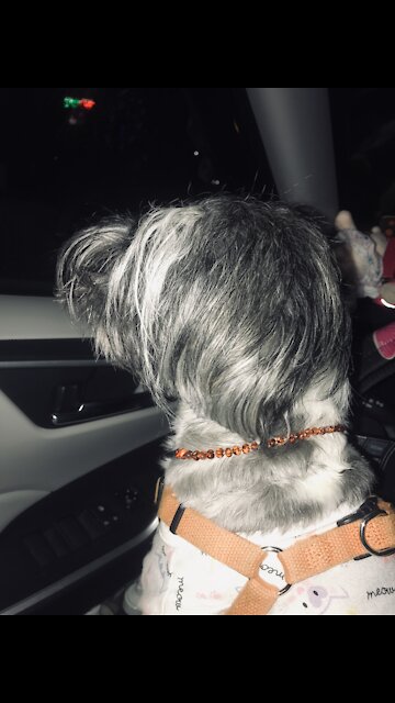 Amayiah Sings..................