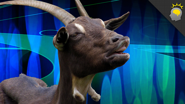 Stuff to Blow Your Mind: What does the goat say? - Science on the Web