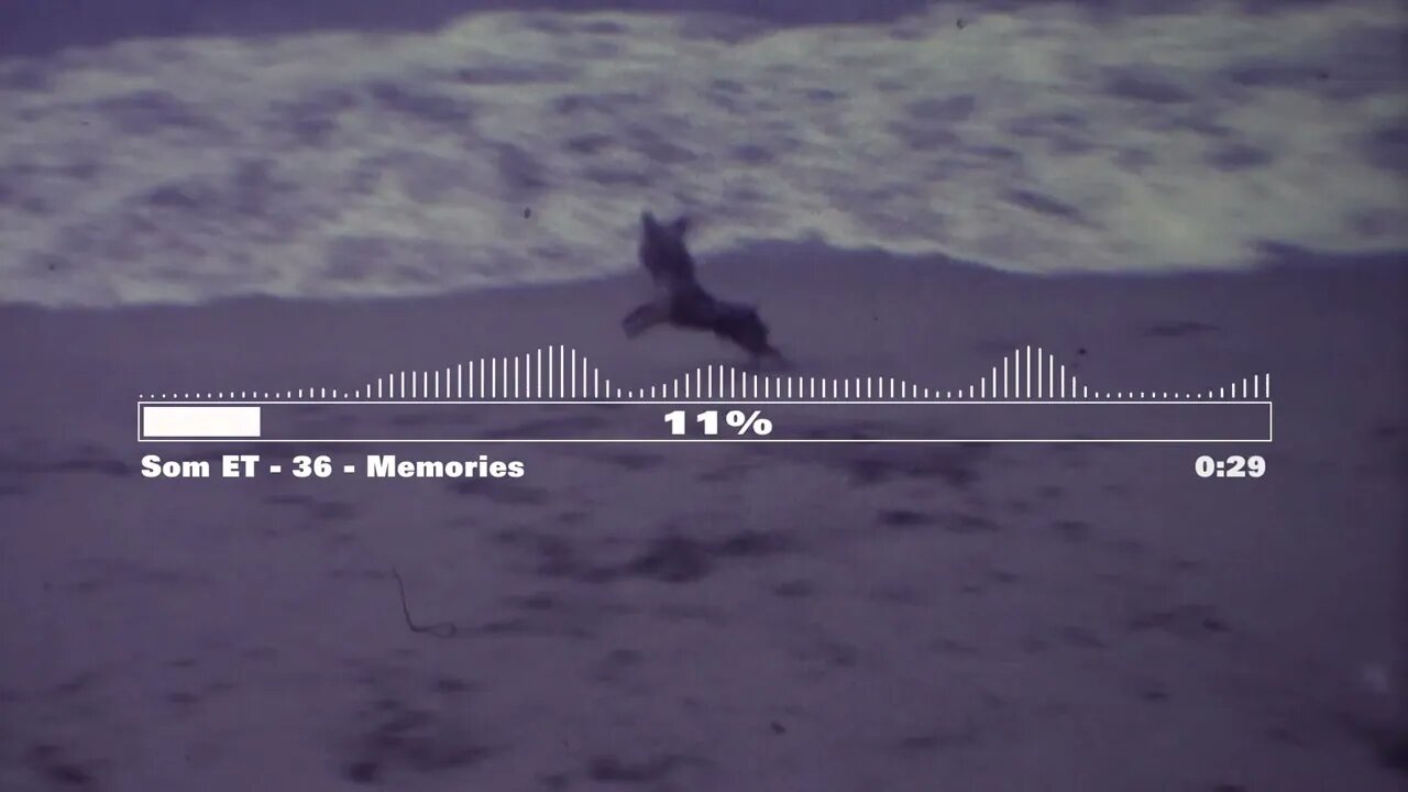 Som ET - 36 - Memories