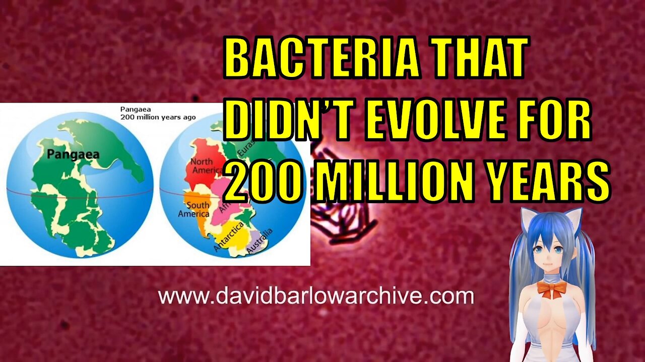 Microbe discovered in evolutionary stasis for millions of years