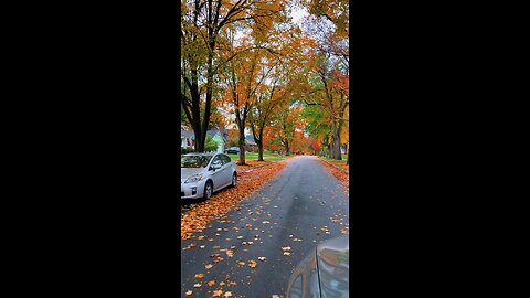 Edmonton