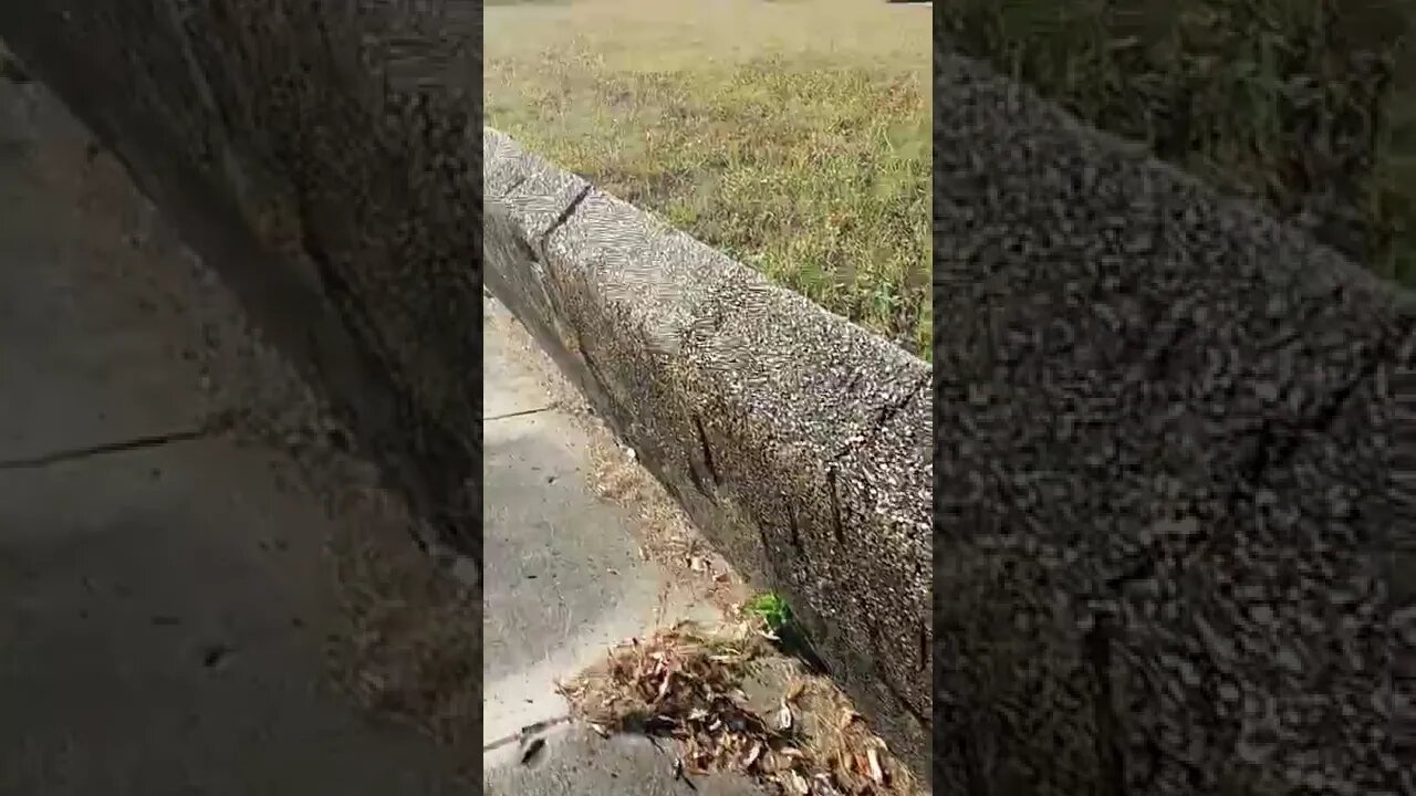 #gangstalking perp walk 10/27/2022 Pt. 3 - 1