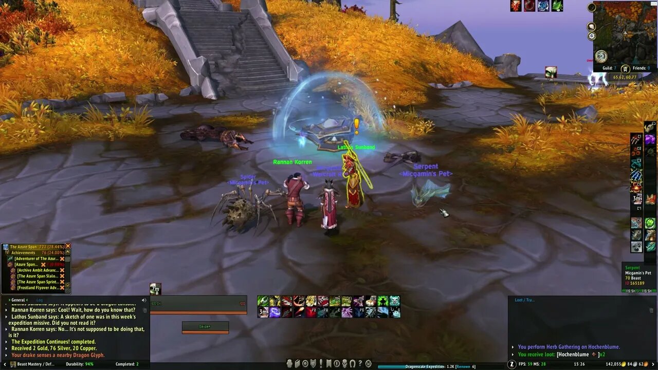 World of Warcraft Dragonflight Worries and Validations