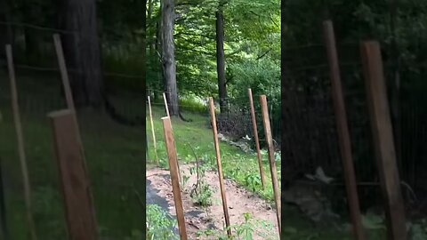 The Calm Before The Storm The Wind Feels Great But The Garden Plants Are Coming Down!