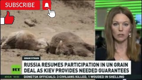 RT News - November 02 2022 (20:00 MSK)