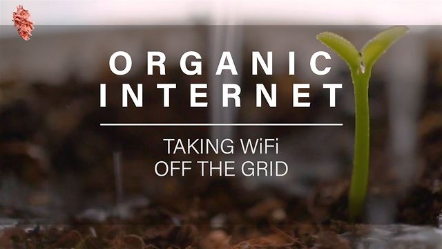 Plant Box Supplies Phones With Organic WiFi