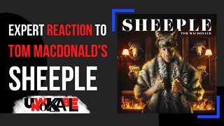 Tom MacDonald - "Sheeple" Reaction Video